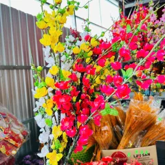 1 CÀNH HOA ĐÀO CỔ - Loại Dài