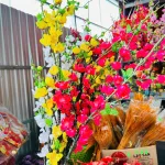 1 Cành Hoa Đào Cổ - Mẫu Ngắn