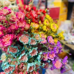 1 Cành HOA GẠO XỐP Nhiều Màu