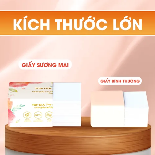 1 Gói Nhỏ Giấy Ăn Topgia Sương Mai