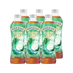 1 Lốc 6 Chai Trà Bí Đao WONDERFARM 440ml/Chai