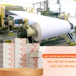 1 Thùng Giấy Ăn 10 Gói Topgia Sương Mai
