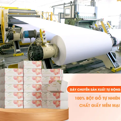1 Thùng Giấy Ăn 10 Gói Topgia Sương Mai