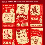 60 BAO LÌ XÌ NHUNG BẢN TO( CHỌN ĐƯỢC 10 HÌNH - 1 HÌNH 6 CÁI) nhiều hình