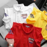 Áo Thun Nam Cổ Bẻ In Logo Trước Ngực Và Tay Áo (Có Size 3X)