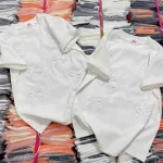 Áo Thun Nữ Baby Tee