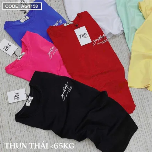 Áo Thun Nữ Cổ Tròn Size M (40-60kg) Nhiều Mẫu 2
