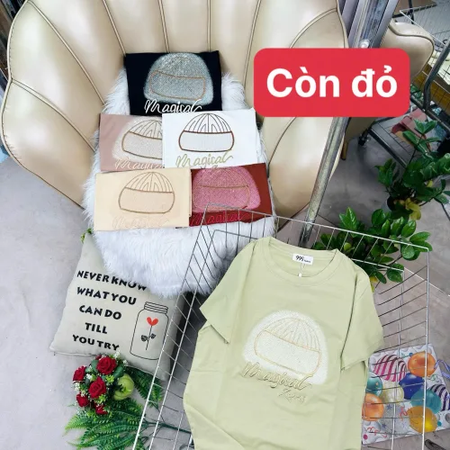 Áo Thun Nữ Cổ Tròn Size M (40-60kg) Nhiều Mẫu 3