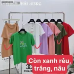 Áo Thun Nữ Cổ Tròn Size M (40-60kg) Nhiều Mẫu 5