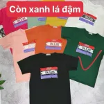 Áo Thun Nữ Cổ Tròn Size M (40-60kg) Nhiều Mẫu 5