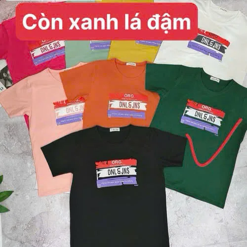 Áo Thun Nữ Cổ Tròn Size M (40-60kg) Nhiều Mẫu 5