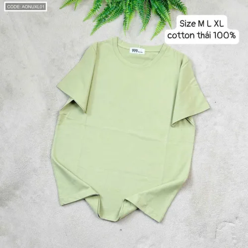 Áo Thun Nữ Cổ Tròn Size XL (65-85kg)