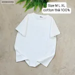 Áo Thun Nữ Cổ Tròn Size XL (65-85kg)