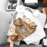 Áo Thun Polo Nam Phối Màu Ở Tay Áo BigSize Từ 50-90kg