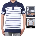 Áo Thun Sọc Nam Polo Thêu Chữ Rayman Cao Cấp (Có Size 3XL)