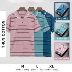 Áo thun sọc nam thêu logo PH thun cotton
