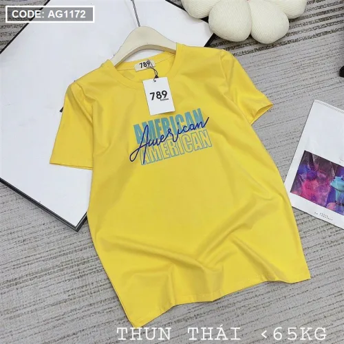 Áo thun thái nữ form rộng in chữ American