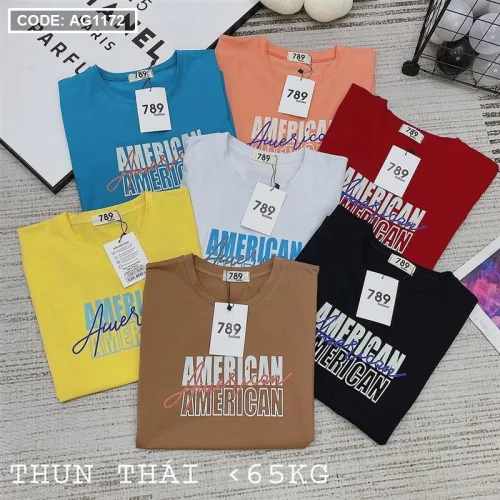 Áo thun thái nữ form rộng in chữ American