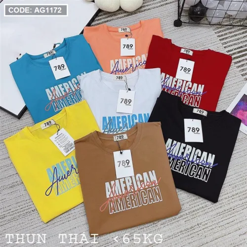 Áo thun thái nữ form rộng in chữ American