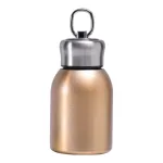 Bình Giữ Nhiệt Inox Mini 300ml Có Tay Cầm