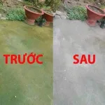 Bột Tẩy Rong Rêu Chống Trơn Trượt Sân Vườn Hiệu Quả 400g