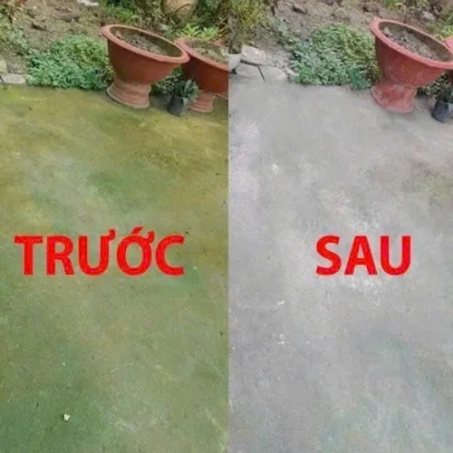 Bột Tẩy Rong Rêu Chống Trơn Trượt Sân Vườn Hiệu Quả 400g