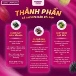 Cà Phê Bứa Mâm Xôi Đen Blackberry Coffee 16g x 15 gói