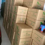 Cà Phê Xanh Thiên Nhiên Việt Hộp Nhỏ 10 Gói (Combo 2 Hộp)