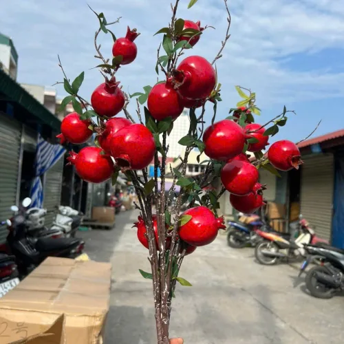 Cành Lựu 7 Trái Mọng Đỏ Cắm Bình Trang Trí Không Gian Sống