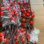 Cành Lựu 7 Trái Mọng Đỏ Cắm Bình Trang Trí Không Gian Sống