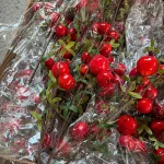 Cành Lựu 7 Trái Mọng Đỏ Cắm Bình Trang Trí Không Gian Sống
