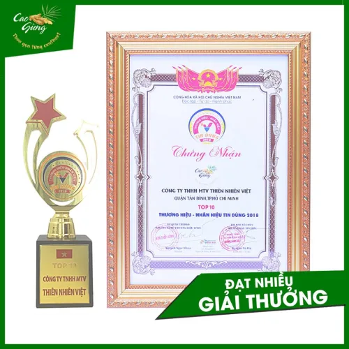 Cao Gừng Tan Mỡ Bụng Thiên Nhiên Việt 250g Phiên Bản 2025