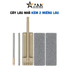 Cây Lau Nhà (Kèm Tổng 2 Miếng Lau)