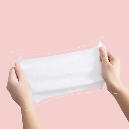 Combo 10 Bịt Khăn Giấy Ướt Lau Mặt Cao Cấp 100 Tờ