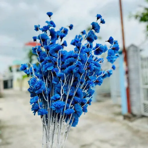 Combo 10 CÀNH ĐÀO RÂU Nhiều Màu