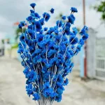 Combo 10 CÀNH ĐÀO RÂU Nhiều Màu