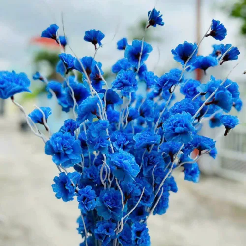 Combo 10 CÀNH ĐÀO RÂU Nhiều Màu