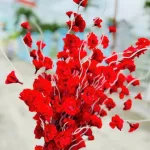 Combo 10 CÀNH ĐÀO RÂU Nhiều Màu
