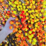 Combo 10 cành đông đào vàng 12 nhánh