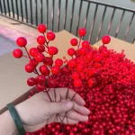 Combo 10 nhánh  ĐÔNG ĐÀO - NHÁNH NHỎ