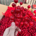 Combo 10 nhánh  ĐÔNG ĐÀO - NHÁNH NHỎ