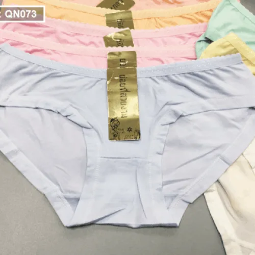 Combo 10 quần lót nữ