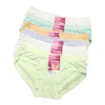 Combo 10 quần lót nữ cao cấp