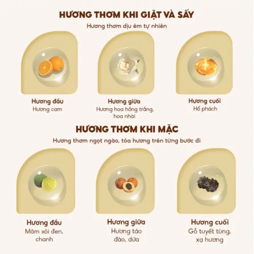 Combo 2 Túi Nước Giặt Xả Top Gia Hương Lavender 3in1 Dịu Nhẹ 2L/Túi( Tổng 2 túi 4 Lít)