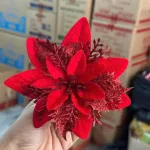 combo  5 HOA TRẠNG NGUYÊN