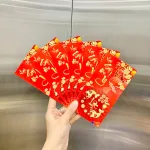 Combo 50 Bao Lì Xì Tết Ất Tỵ 2025