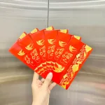 Combo 50 Bao Lì Xì Tết Ất Tỵ 2025