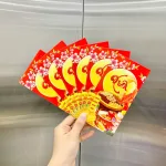 Combo 50 Bao Lì Xì Tết Ất Tỵ 2025