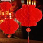 Combo 50c (5 Bịt) - mỗi bịt 10 LỒNG ĐÈN GIẤY  (F25 / 20CM )