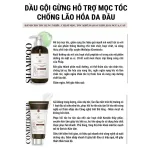 Combo Dầu Gội Xả Gừng Weilaiya Màu Nâu Zingiber X2 Ginger Essence Giúp Làm Sạch Gàu